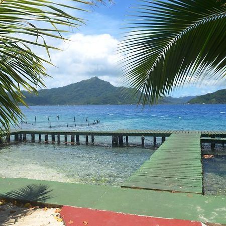 Pension Atger Vaitoare  Luaran gambar