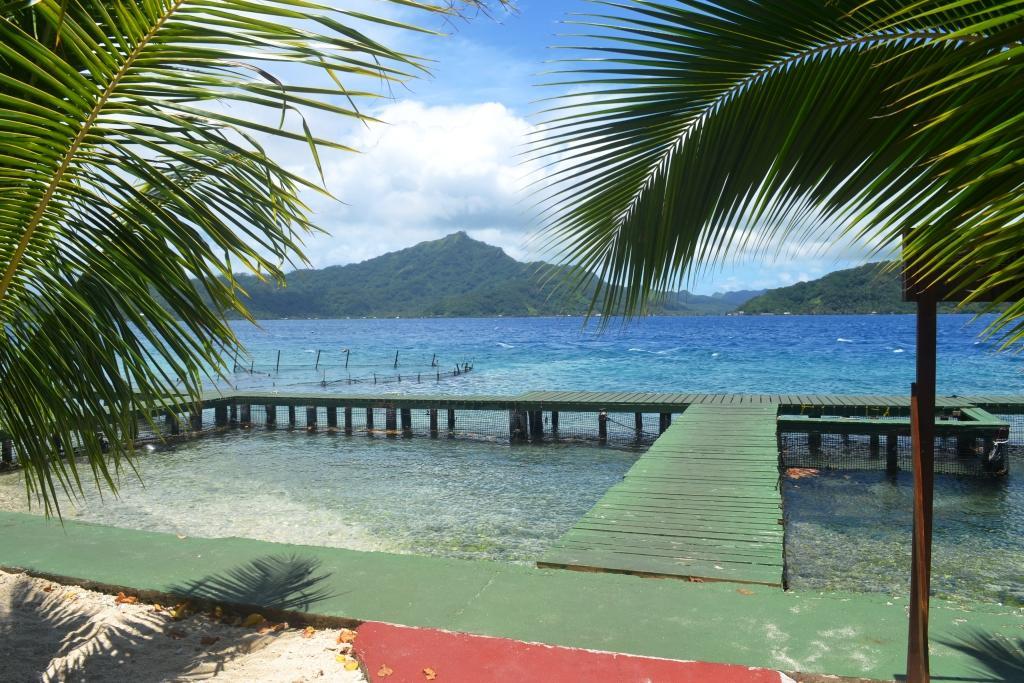 Pension Atger Vaitoare  Luaran gambar